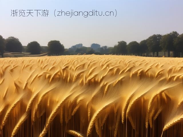 探秘西安麦田，寻味地道美食，畅游古都风情